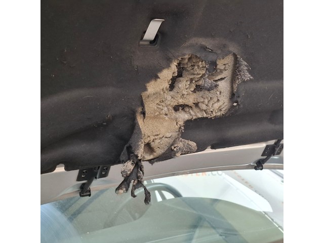 Personenauto, renault, megane, 2019 - afbeelding 58 van  66