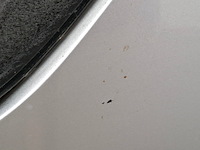 Personenauto, renault, megane, 2019 - afbeelding 9 van  73