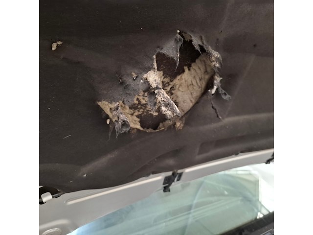 Personenauto, renault, megane, 2019 - afbeelding 62 van  71