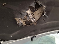 Personenauto, renault, megane, 2019 - afbeelding 62 van  71