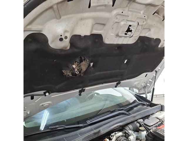 Personenauto, renault, megane, 2019 - afbeelding 63 van  71