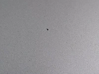 Personenauto, renault, megane, 2019 - afbeelding 25 van  72