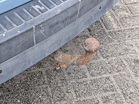 Personenauto, renault, megane scenic 1.6 dynamique, 2009 - afbeelding 6 van  34