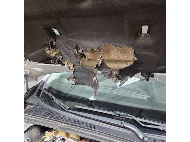 Personenauto, renault, megane - afbeelding 32 van  39