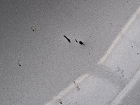 Personenauto, renault, megane - afbeelding 55 van  62