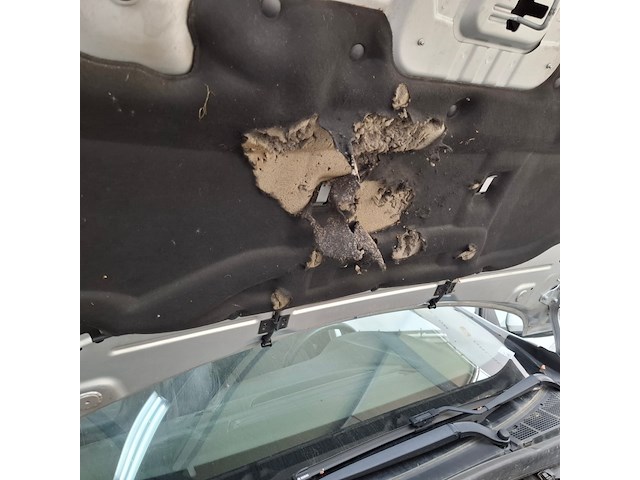 Personenauto, renault, megane - afbeelding 58 van  67