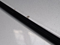 Personenauto, renault, scénic, 1.6 expression, 2010 - afbeelding 64 van  69