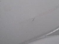 Personenauto, renault, twingo, 1.2 16v parisienne, 2014 - afbeelding 8 van  41