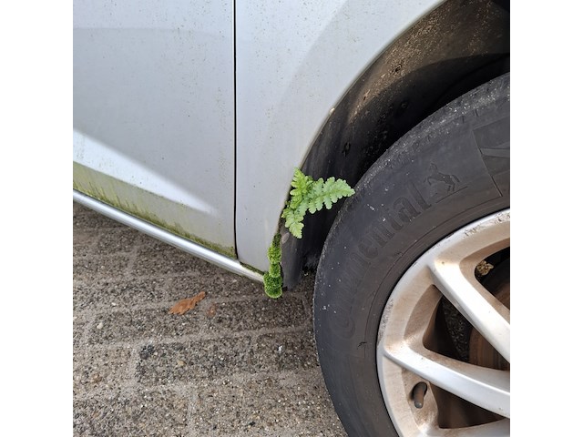 Personenauto seat, ibiza 1.2 tdi style ecomotive, grijs, bouwjaar 2010 - afbeelding 36 van  48