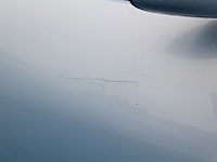 Personenauto, seat, ibiza, 1.4-16v signo, blauw, 2003 - afbeelding 16 van  17