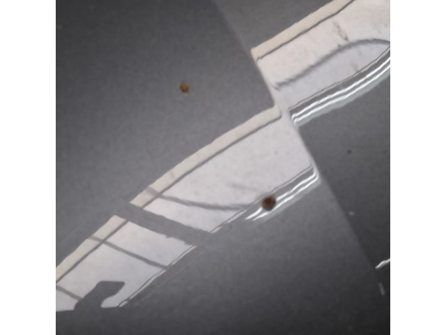 Personenauto, seat, leon - afbeelding 10 van  61