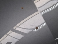 Personenauto, seat, leon - afbeelding 10 van  61