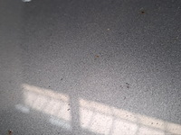 Personenauto, seat, leon - afbeelding 17 van  64