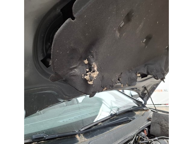 Personenauto, seat, leon - afbeelding 50 van  64
