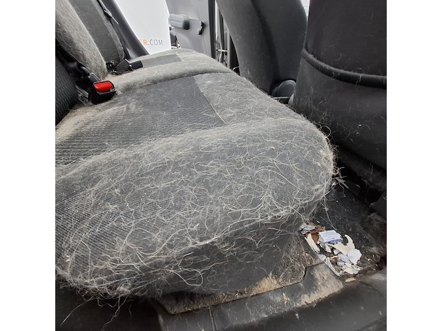 Personenauto, suzuki, splash, 1.2 comfort easss, 2013 - afbeelding 32 van  46