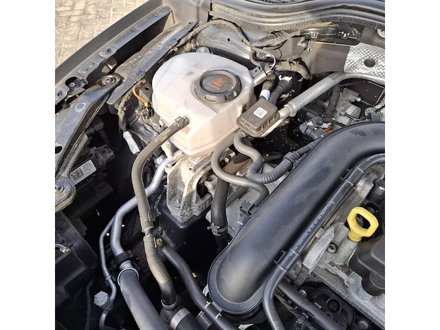 Personenauto, volkswagen, golf 1.0 tsi, 2020 - afbeelding 14 van  57