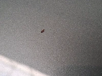 Personenauto, volkswagen, golf, 1.4 trendline, 2004 - afbeelding 32 van  79