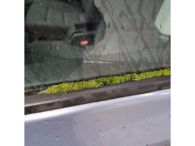 Personenauto, volkswagen, golf, 1.8 tsi comfortline le 18t, 2009 - afbeelding 16 van  25