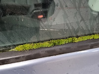 Personenauto, volkswagen, golf, 1.8 tsi comfortline le 18t, 2009 - afbeelding 16 van  25