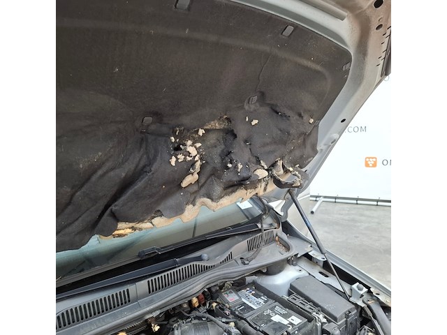 Personenauto, volkswagen, golf sportsvan - afbeelding 51 van  61