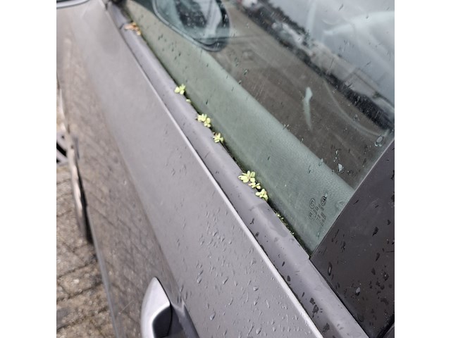 Personenauto, volkswagen, passat variant, 1.6 fsi trendline, 2006 - afbeelding 24 van  30