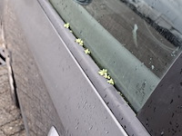 Personenauto, volkswagen, passat variant, 1.6 fsi trendline, 2006 - afbeelding 24 van  30