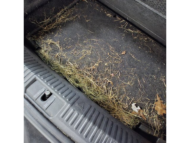 Personenauto, volkswagen, polo, 1.2-12v bluemotion comfortline, 2012 - afbeelding 29 van  53