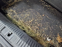 Personenauto, volkswagen, polo, 1.2-12v bluemotion comfortline, 2012 - afbeelding 29 van  53