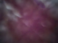 Personenauto, volkswagen, polo, 2.0 tsi gti, 2018 - afbeelding 24 van  30