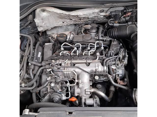 Personenauto, volkswagen, tiguan, 2009 - afbeelding 20 van  47