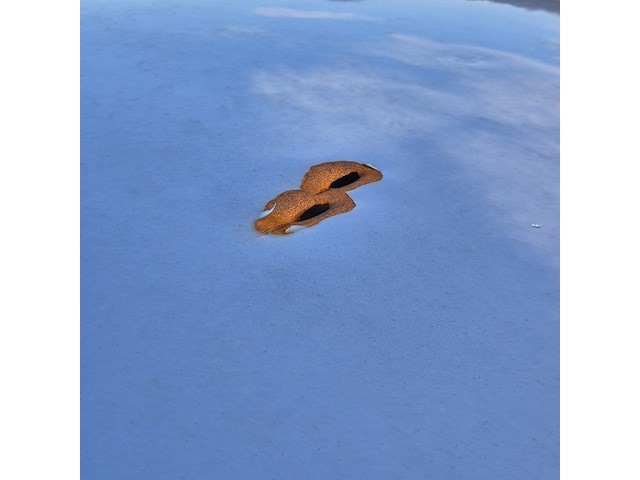 Personenauto/schadeauto, kia, ceed - afbeelding 6 van  20