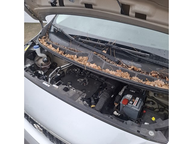 Personenbus, peugeot, expert traveller - afbeelding 33 van  43