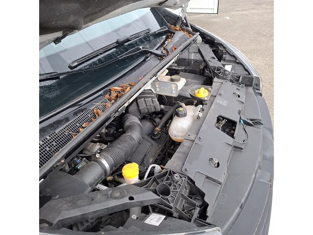 Personenbus, renault, trafic passenger, 2019 - afbeelding 41 van  43