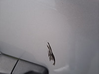 Personenbus, renault, trafic - afbeelding 24 van  30