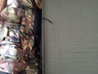 Persoonlijke uitrusting en kleding defensie - afbeelding 11 van  38