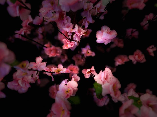 Perzik bloesem kunstboom (2x) - afbeelding 10 van  11