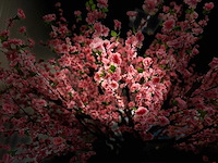 Perzik bloesem kunstboom - afbeelding 6 van  18