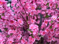 Perzik bloesem kunstboom - afbeelding 3 van  14