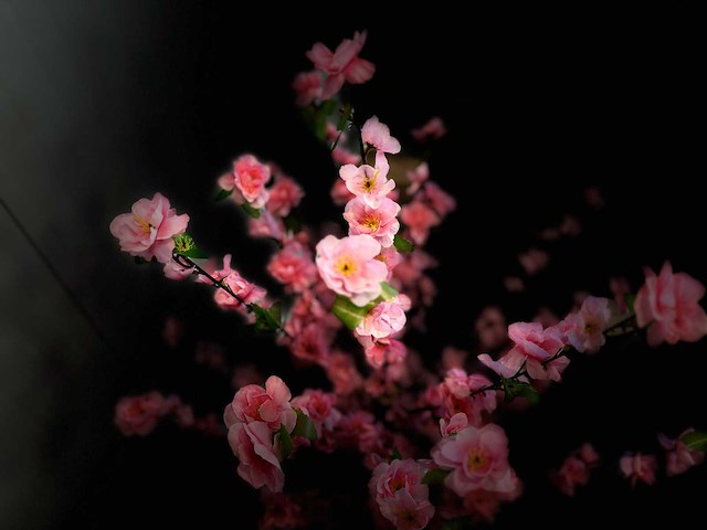 Perzik bloesem kunstboom - afbeelding 2 van  13