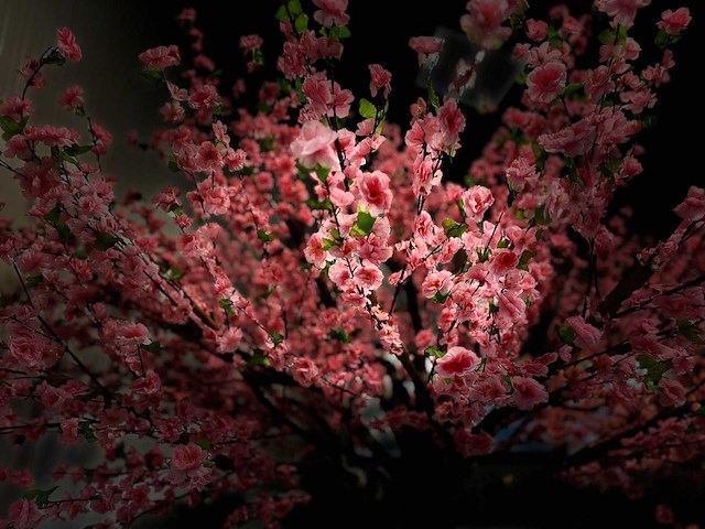 Perzik bloesem kunstboom - afbeelding 7 van  15