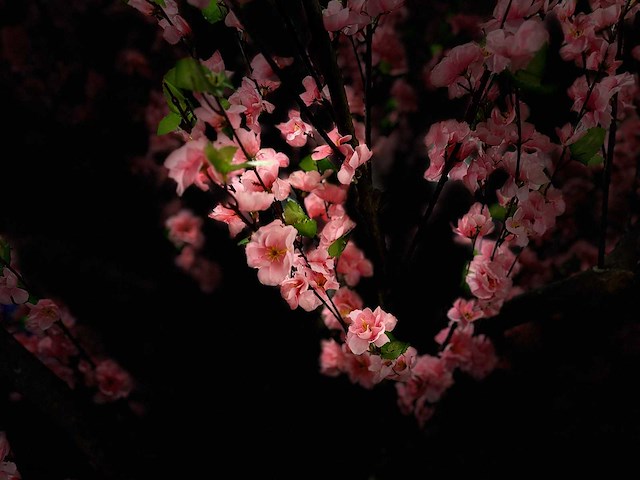 Perzik bloesem kunstboom - afbeelding 15 van  15