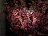 Perzik bloesem kunstboom - afbeelding 5 van  16