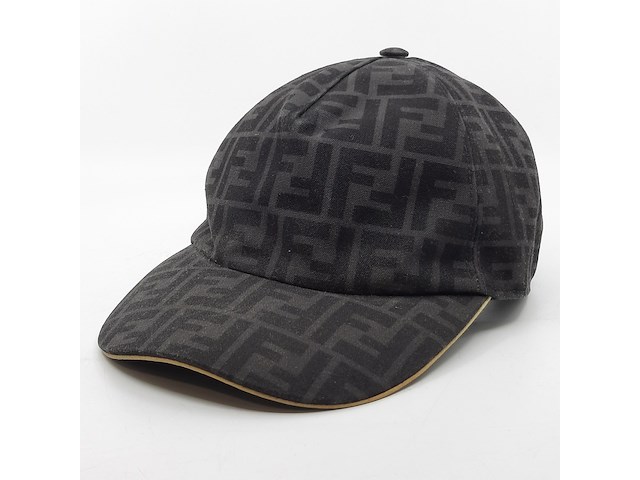 Pet, fendi, fxq768 acda tu - afbeelding 1 van  10