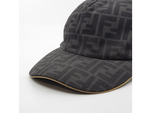 Pet, fendi, fxq768 acda tu - afbeelding 3 van  10