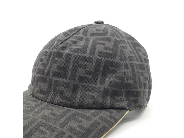 Pet, fendi, fxq768 acda tu - afbeelding 4 van  10