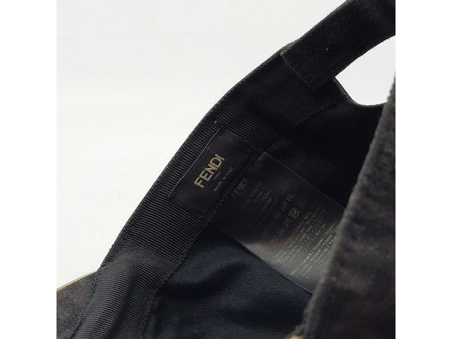 Pet, fendi, fxq768 acda tu - afbeelding 10 van  10