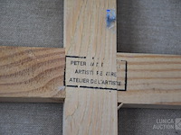 Peter h. waterschoot (1969) - afbeelding 4 van  4