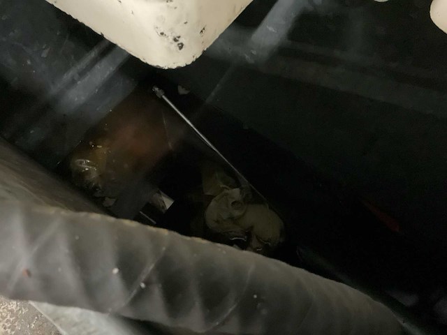 Petra olie bar - afbeelding 7 van  9