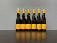 Petra unger gaisberg riesling 2020 (6x) - afbeelding 1 van  4