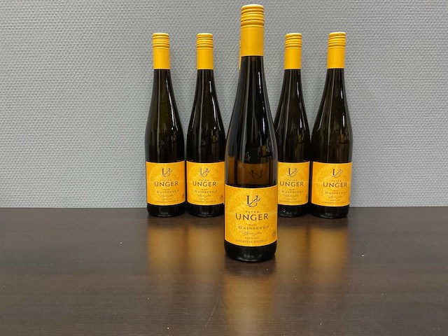 Petra unger gaisberg riesling 2020 (6x) - afbeelding 2 van  4